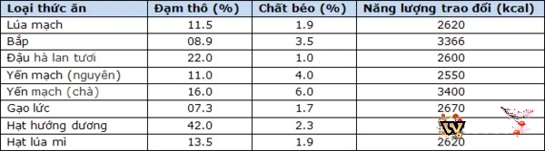 Cách nạp carbo cho gà đá có những đặc điểm gì?