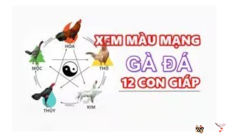 Cách xem ngày đá gà theo 12 con giáp là như thế nào?