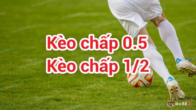 Chi tiết chốt kèo 1/2 hiệu quả