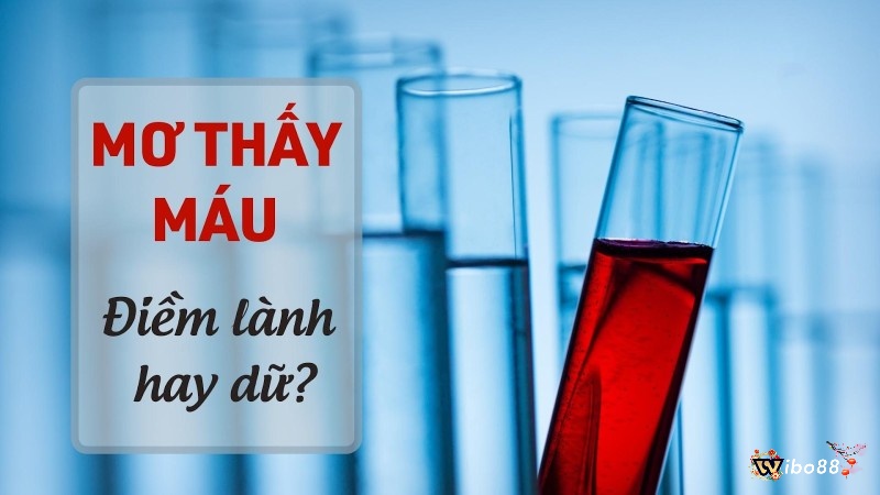 Nhìn thấy máu đánh con gì? Giấc mơ thấy máu có ý nghĩa tốt hay xấu