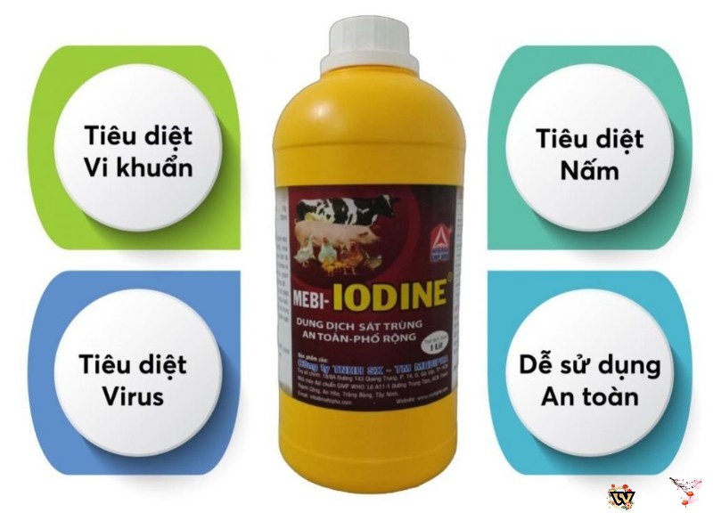 Chữa gà bị bại liệt bằng thuốc sát trùng như MEBI-IODINE định kỳ