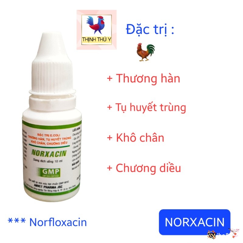 Sử dụng kháng sinh NORFLOXACIN là cách chữa gà chọi bị sưng phù mặt hiệu quả