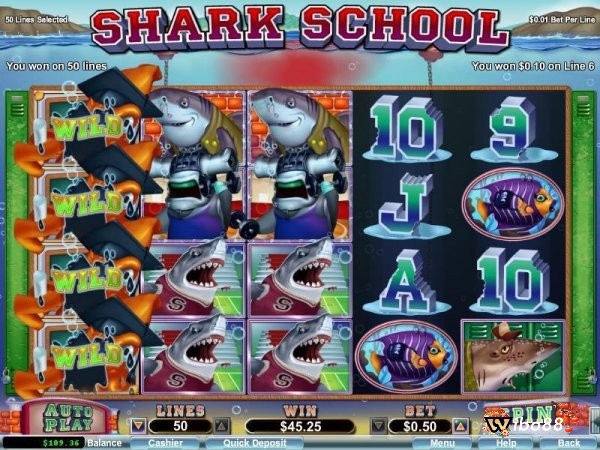 Cách chơi game slot Shark School rất đơn giản