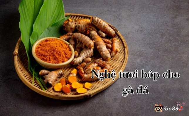 Dùng nghệ tươi chống viêm giúp cho gà mau lành vết thương