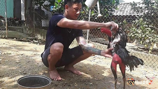 Phun rượu thoa bóp da gà nên thực hiện vào buổi sáng sớm