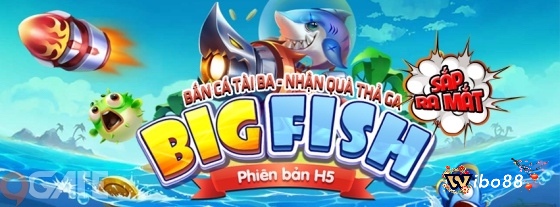 Big Fish được thiết kế với màu sắc vô cùng bắt mắt và sinh động