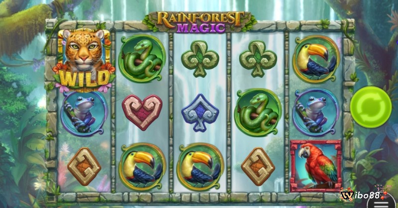 Rainforest Magic là một game slot 5 cuộn với 25 hàng thanh toán cố định