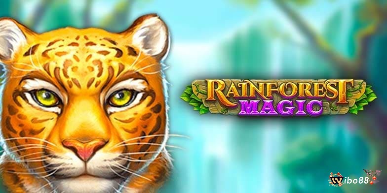 Rainforest Magic lấy bối cảnh là khu rừng nhiệt đới Amazon huyền bí